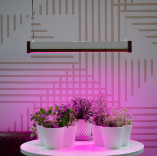 LIGHTING Launches First Open Source Tunable Spectrum Grow Light -