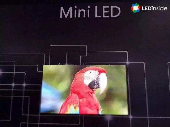 Latest Development in the Industry: Mini LED, OLED Go Head-to-head This  Year, LEDinside Says - LEDinside