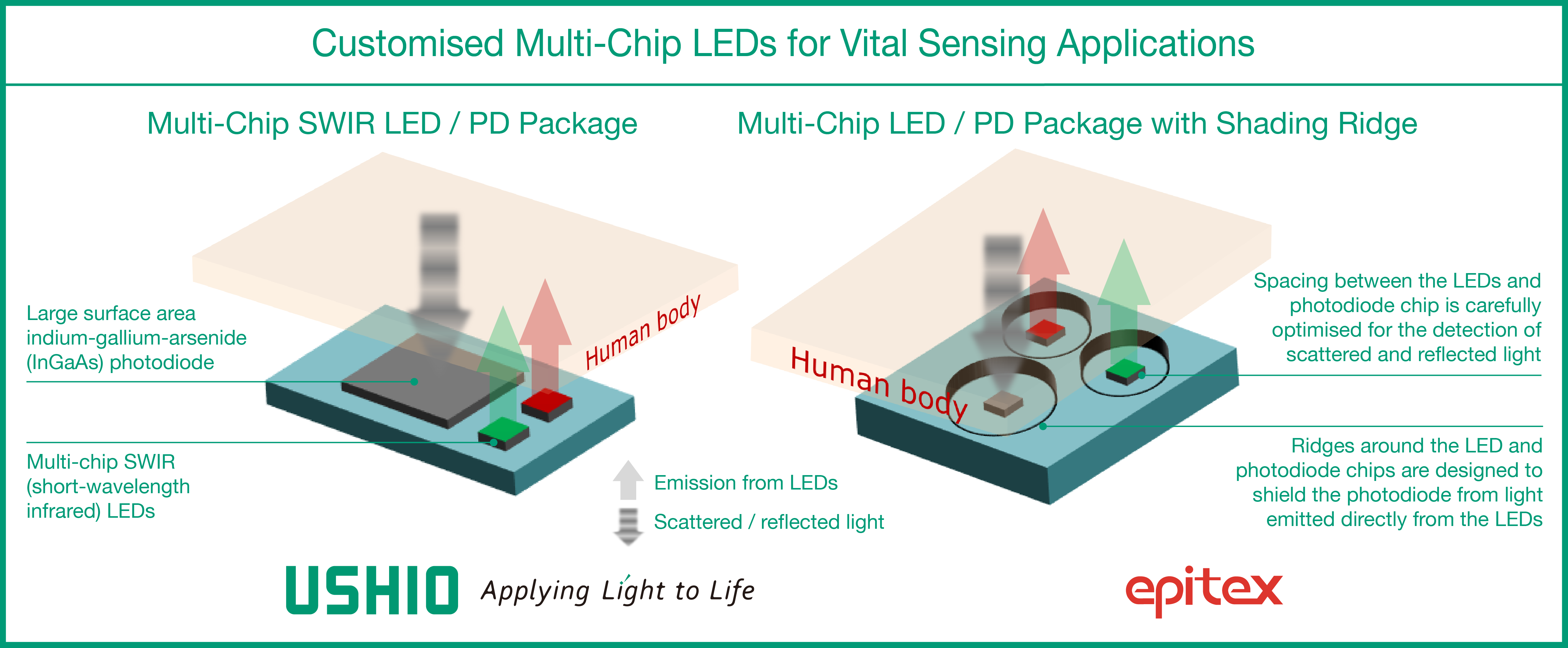 Blood, Sweat, And Tears: The Innovation Behind Ushio's Multi-wavelength LED  Packages - LEDinside